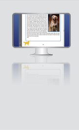 Illustration of e-book on computer screen