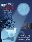 Cover of E-mails from shilo e-book